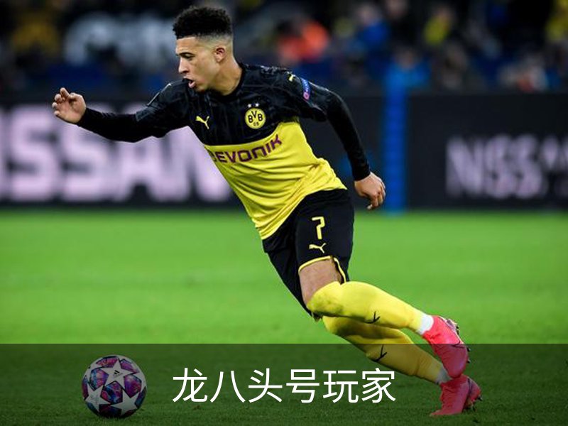 龙八头号玩家品牌故事